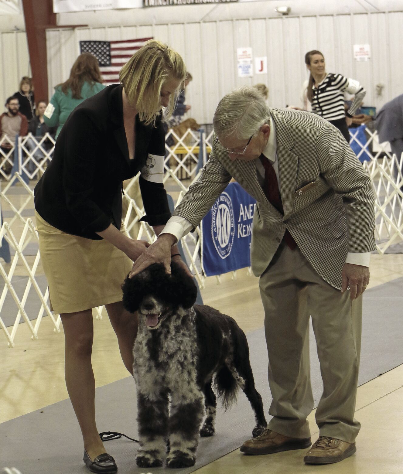 PHOTOS: 2022 AKC Dog Show